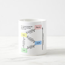 Nomenclature for the different Phase Transitions Mugs