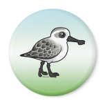 Spoon-billed Sandpiper non-breeding Round Magnet