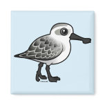 Spoon-billed Sandpiper non-breeding Square Magnet