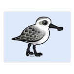 Spoon-billed Sandpiper non-breeding Postcard