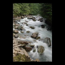 Nooksack River posters