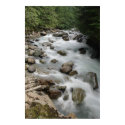 Nooksack River posters