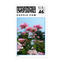 Nooners stamp