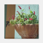 Noosa Detail Product Range Fridge Magnets