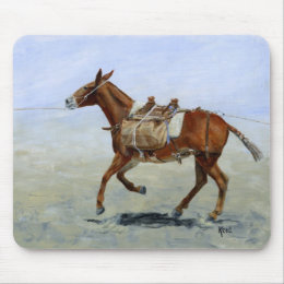 Missouri Mules - Mule Teams