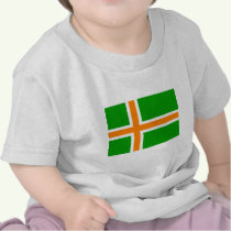 The Nordic Celtic flag is a fictional flag. It features the Nordic Cross, or Scandinavian Cross, as do the flags of Denmark, Sweden, Norway, Finland, and Iceland. However, the flag features the Irish colors of white, orange, and green.