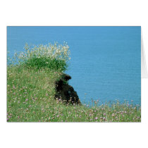 Norfolk Coastline cards by Libby Norfolk Coastline cards