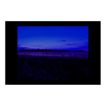 Norfolk Cornfield  posters