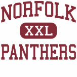 Norfolk - Panthers - High - Norfolk Nebraska t-shirts