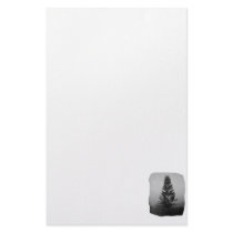 Norfolk Pine Black and White Picture Foggy