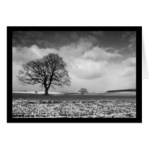 norfolk show scene cards by nightsky norfolk show scene cards