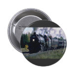 Norfolk/Southern No. 1218 at KeNova WVA Buttons