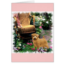 Norfolk Terrier Art Gifts cards by DogsByDezign Norfolk Terrier Art Gifts cards