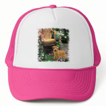 Norfolk Terrier Art Gifts hats