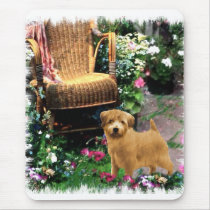 Norfolk Terrier Art Gifts mousepads