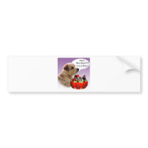Norfolk Terrier Halloween Candy bumper stickers