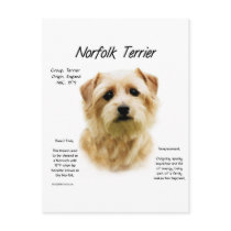 Norfolk Terrier History Design postcards by GreyWolfCreation Norfolk Terrier History Design postcards