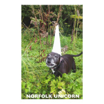 Norfolk Unicorn Hoax Unmasked Stationery