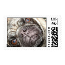 Norm stamp
