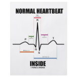 Normal Heartbeat Inside (ECG EKG) flyers