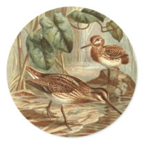 Normal Jack Snipe Sticker by orglioness Normal Jack Snipe Sticker