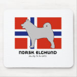 elkhound, norwegian elkhound, norsk elghund, moose