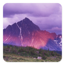 North America, Canada, Alberta, Canadian Sticker