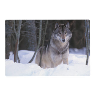 custom paper placemats canada custom paper placemats canada