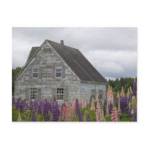 North America, Canada, Prince Edward Island, Post Card