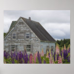 North America, Canada, Prince Edward Island, Poster