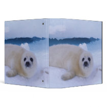 North America, Canada, Quebec, Iles de la 2 Vinyl Binders