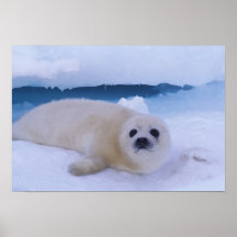 North America, Canada, Quebec, Iles de la 2 Print