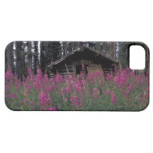 North America, Canada, Yukon. Abandoned trappers iPhone 5 Cover