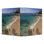 North America, Mexico, Baja California Sur, Binder