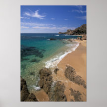 North America, Mexico, Baja California Sur, Posters