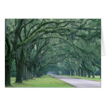 North America, U.S.A., Georgia, Savannah, Greeting Cards