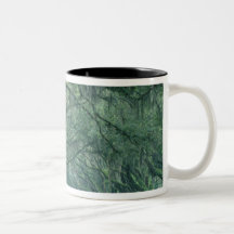 North America, U.S.A., Georgia, Savannah, Mug