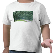 North America, U.S.A., Georgia, Savannah, Shirt