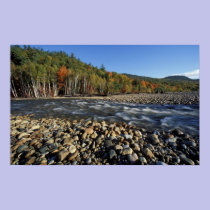 North America, US, NH, A cobble beach on the posters