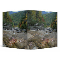 North America, US, NH, Fall foliage in New 3 Ring Binders