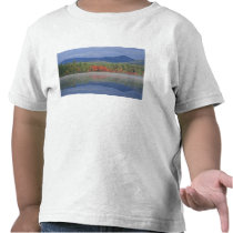 North America, US, NH, Fall reflections in T-shirts