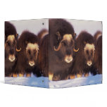North America, USA, Alaska, Arctic Circle, Binder
