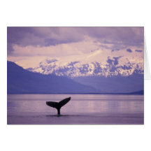 North America, USA, Alaska, Inside Passage. Greeting Cards