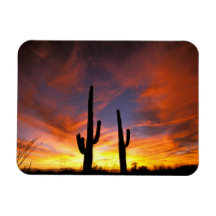 North America, USA, Arizona, Sonoran Desert. Rectangular Magnet