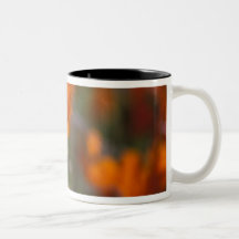 North America, USA, California, Antelope Valley, Mugs