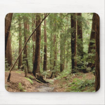 North America, USA, California, Big Sur, 3 Mouse Pads