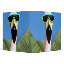 North America, USA, California, San Diego. Sea Binder