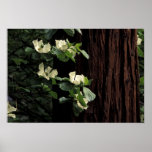 North America, USA, California, Yosemite 2 Posters