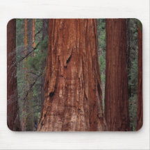 North America, USA, California, Yosemite NP, 2 Mouse Pads