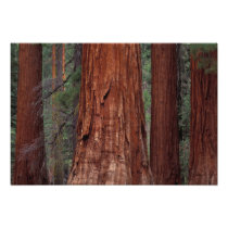 North America, USA, California, Yosemite NP,